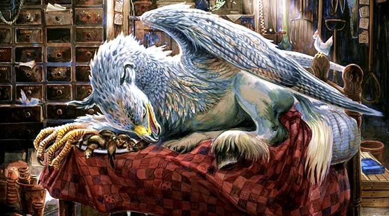 Fantastic Drawings and Where To Find Them: A sneak peek into Jim Kay's 'Harry  Potter' illustrations