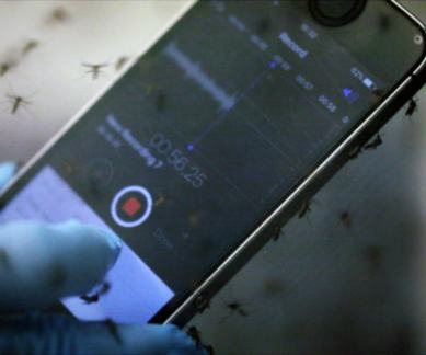 Mosquito monitoring platform Abuzz, Stanford University, dengue, chikungunya, zika, global mosquito map, Manu Prakash, mosquito surveillance, mosquito species, mosquito data, mosquito sound library