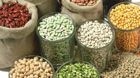 oilseed, Agriculture Produce Market Committee, APMC, open market, farmers in open markets, oilseed to be removed from APMC, Agriculture, mumbai, indian express