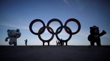 Court of Arbitration for Sport, International Olympic Committee, 2014 Sochi Games, Vladimir Putin