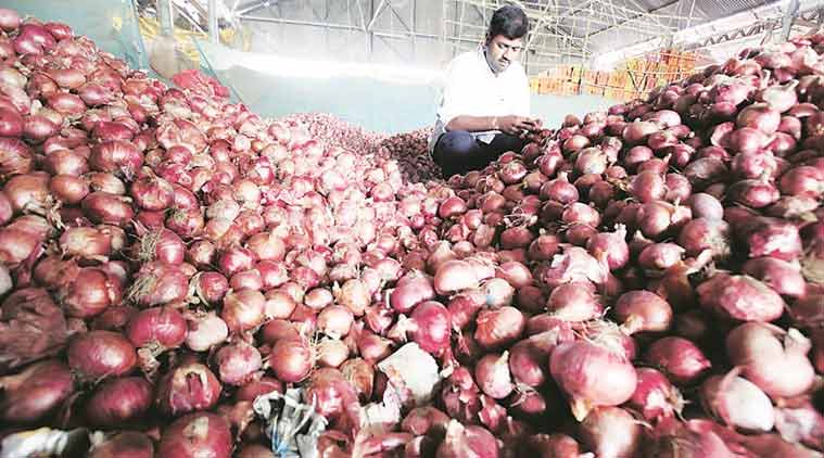 Maharashtra Onion farmers, Onion prices, Onion wholesale prices, Onion farmers, kharif crops, farmers storage facilities, onion storage facilities, indian express