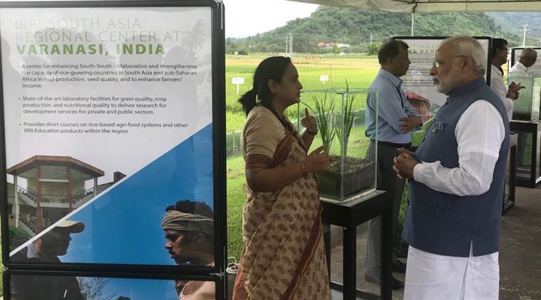 narendra modi news, irri news, india news, indian express news