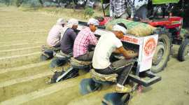 yogi adityanath , potato farmers, potato farmers, potato farmers subsidy