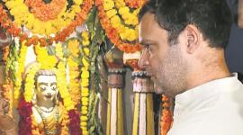 Gujarat assembly elections, Rahul Gandhi, Gujarat Rahul Gandhi, Rahul Gandhi Gujarat temple visits