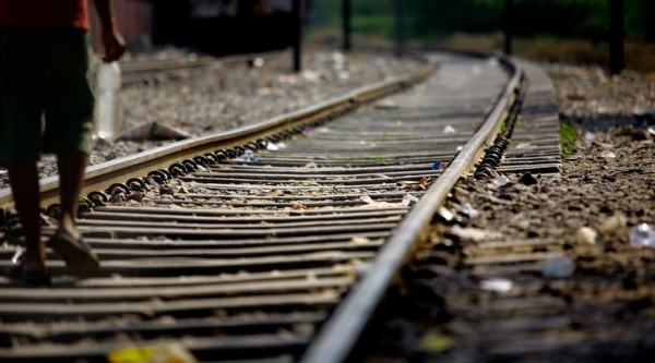 Cattle dying on tracks: numbers double in one year