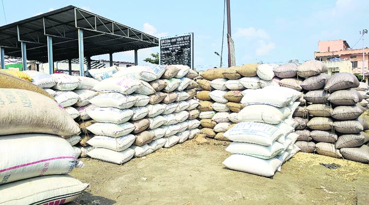 Modi government, Narendra Modi govt, soyabean farmers, import duty on edible oils, edible oils import duty, india news, indian express, indian express news