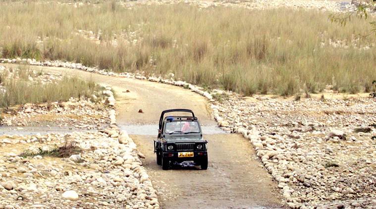 Similipal National Park, Similipal National Park Reopens, Similipal Tiger Reserve, Similipal, Baripada, India News, Indian Express, Indian Express News 