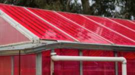 Electricity-generating solar greenhouses, smart greenhouses, University of California Santa Cruz, healthy crops, tomatoes, cucumbers, conventional greenhouses, wavelength-selective photovoltaic systems, photovoltaic strips, energy consumption, global food production, greenhouse gas emissions