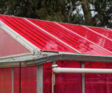 Electricity-generating solar greenhouses, smart greenhouses, University of California Santa Cruz, healthy crops, tomatoes, cucumbers, conventional greenhouses, wavelength-selective photovoltaic systems, photovoltaic strips, energy consumption, global food production, greenhouse gas emissions