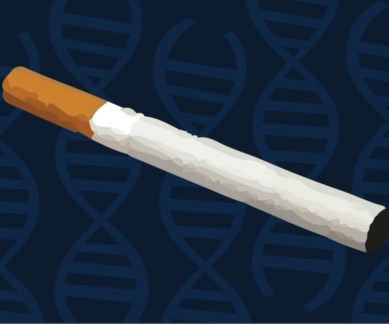 Smoking, nicotine addiction, genetic code, University of Michigan, roundworms, nicotine withdrawal symptoms, microRNA, nicotine acetylcholine receptors, gene expression, nicotine dependence, C elegans