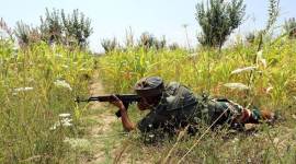 JeM terrorist, jammu and kashmir, pulwama district, terrorist body, tral, DFP SP Vaid, explosion, IED blast, indian express, latest india news