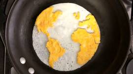 world egg day, egg, nutrition, nutritional profile of an egg, nutritional value, egg importance, is egg important, role of egg in our diet, egg diet, egg healthy, indian express, indian express news