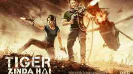tiger zinda hai not to release in pakistan
