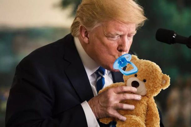 Donal Trump Drinking Out Of A Water Bottle Donal Trump Drinking Out Of A Water Bottle