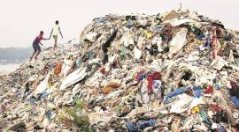 After Versova beach clean up, mangrove patches