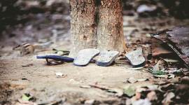 Two minor girls found hanging from a tree in Bihar