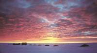antartica researchers camp antartica, climate change, global warming, east antartica, south pole, antartica ice, science news, ice sheets, indian express