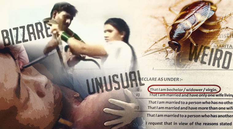bizarre stories of 2017, everything bizarre in 2017, bizarre 2017, bizarre news of 2017, bizarre 2017, bizarre things that happened in 2017, bizarre incidents of 2017, indian express, indian express news