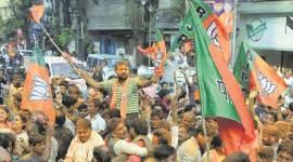BJP workers celebrate assembly election result