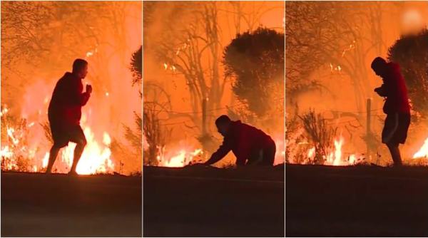 california, wildfire, thomas fire, LA fire, california wildfire rabbit, man saves rabbit from wildfire, los angeles wildfire, viral video, indian express, world news