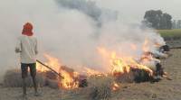 Crop burning in Punjab, Haryana