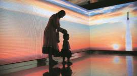 Exhibition no alt set