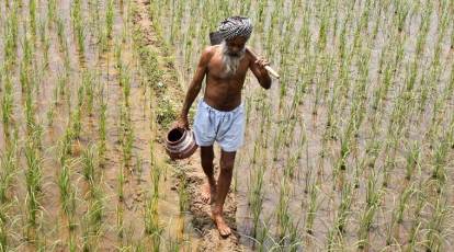 What to expect in 2018 from the farm sector: prices could hold key to  several political fortunes | Explained News - The Indian Express