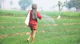 Punjab government, farm loan waiver, fiscal responsibility and budget management (FRBM) Act 2003, food grain scam, Punjab news, Indian Express news