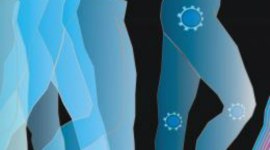 Hominins, present-day humans, locomotion efficiency, CENIEH, pelvis width, iliac crest, body proportions, femur, body mass, metabolic level, energy costs