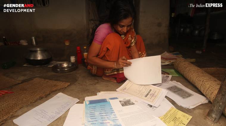 Sunderbans, tigers, tiger population, sundarbans tigers, GenderAnd, gender and stories, Indian express gender and