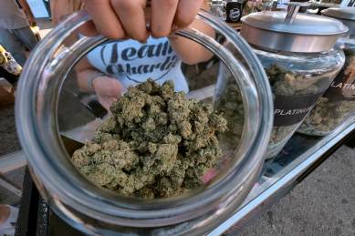 marijuana, california marijuana, legal sale of marijuana, marijuana sale in california, legal sale of marijuana in california