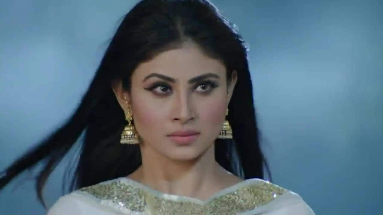 JAmuni role who in serial naagin 3 actoress real name