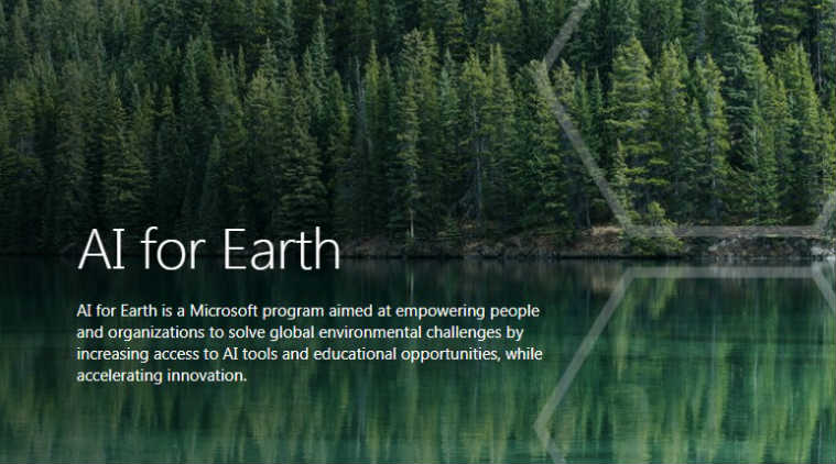 Wild Me – Microsoft AI for Earth