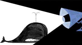 naidu-speech-RNG no alt set