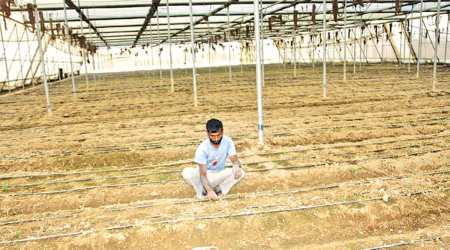 school shutdown, coronavirus pandemic, covid19, coronavirus job loss, teacher job loss, teaching job, employment news, sarkari naukri