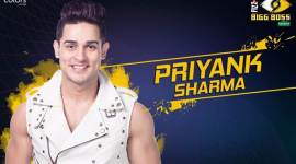 Bigg Boss 11: Priyank Sharma gets evicted from the show