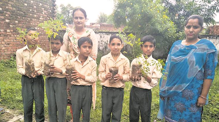 malnutrition, global hunger index, planting saplings