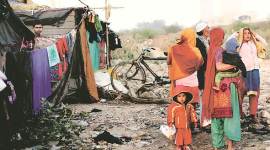 rohingya 1 no alt set