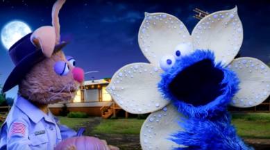 stranger things, sesame street, sesame street muppets, puppets sesame street, stranger things spoof, stranger things parody, upside down, indian express, indian express news