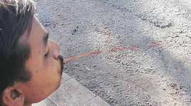 Latest News on Spitting: Get Spitting News Updates along with Photos ...