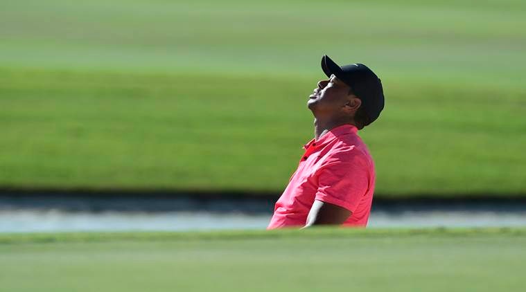 tiger woods, Hero World Challenge, tiger woods return, tiger woods golf, sports news, indian express
