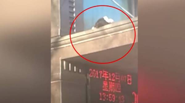 woman falls off hotel, woman fall twice, woman china fell twice, woman falls twice but survives, china woman fall video, indian express, indian express news