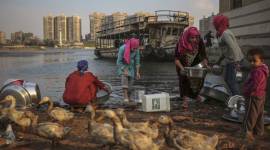 nile river dispute, egypt, ethiopia, indian express