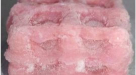3D printing technology, soft biological structures, Imperial College London, tissue regeneration, 3D printer, brain, lungs, stem cells, transplant procedures, polymerisation