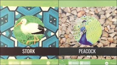 Sukhna Lake, Nature Interpretation Centre, bird lovers, Sukhna lake birds, migratory birds, chandigarh news