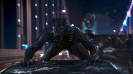 black panther clip, footage, or video