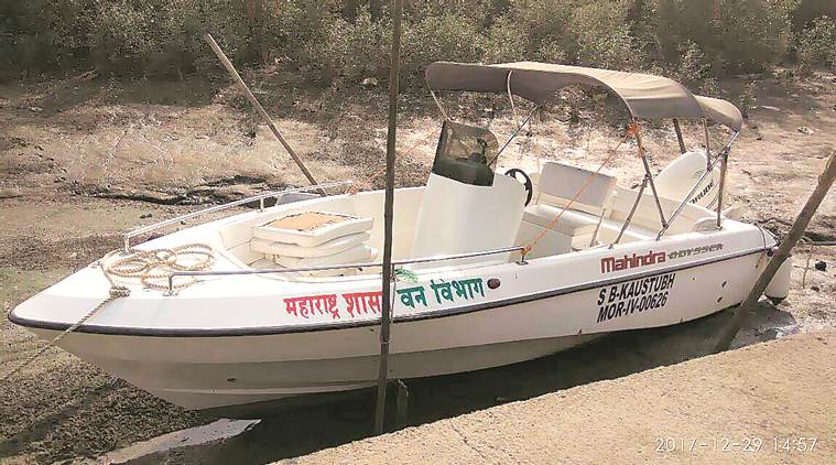 Mangrove Cell’s boat rides through flamingo sanctuary to boost