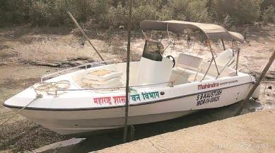 mumbai mangroves, maharashtra mangrove cell, mangrove forests, flamingo sanctuary, boat rides mumbai, Coastal and Marine Biodiversity Centre Airoli, CMBC