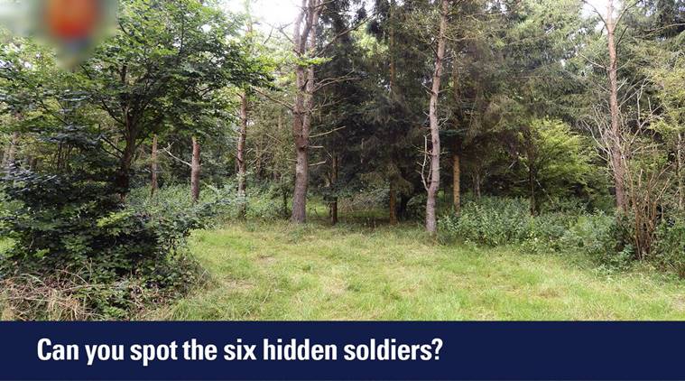find the British soldiers in the picture, viral pictures, viral social media posts, online puzzle, best online puzzle