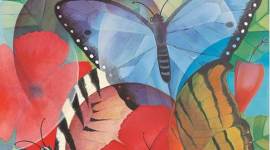 sri lankan artist, senaka senanayake, sri lankan rainforests, butterflies, new york's asia society gallery, indian express